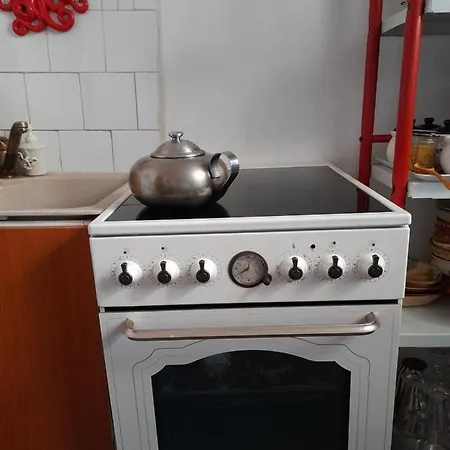 Anca 公寓 蒂米什瓦拉