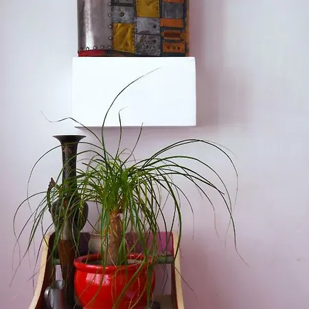 Anca Appartamento Timisoara