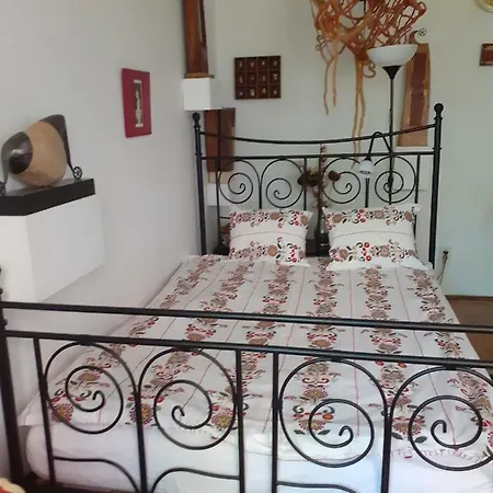 Anca * 蒂米什瓦拉