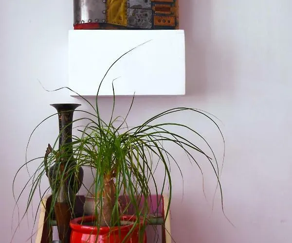 Anca Appartement Timişoara